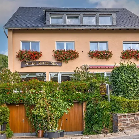 Auf Der Olk Mit Roepertsmuehle Veldenz