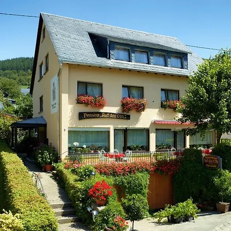Guest house Auf Der Olk Mit Roepertsmuehle Veldenz