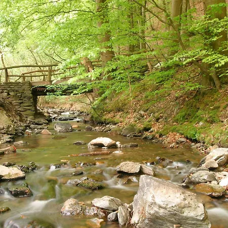 Auf Der Olk Mit Roepertsmuehle Gasthuis Veldenz