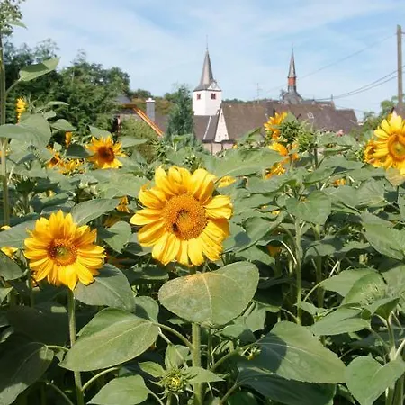 Konukevi Auf Der Olk Mit Roepertsmuehle Veldenz