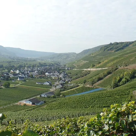 Auf Der Olk Mit Roepertsmuehle Gasthuis Veldenz