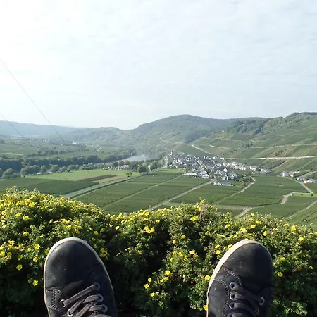 Auf Der Olk Mit Roepertsmuehle * Veldenz