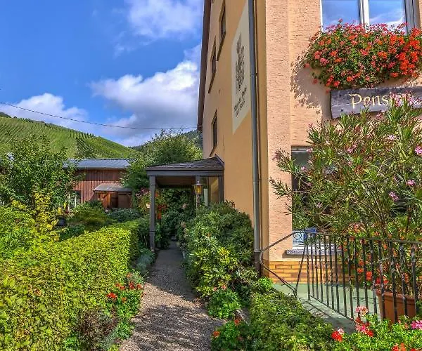 Auf Der Olk Mit Roepertsmuehle Veldenz