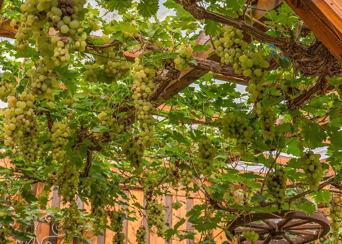 Auf Der Olk Mit Roepertsmuehle Veldenz