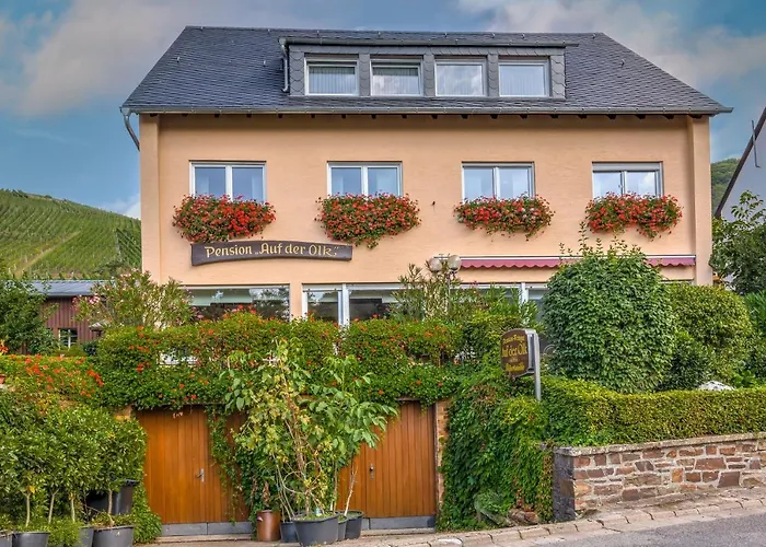 Auf Der Olk Mit Roepertsmuehle Veldenz