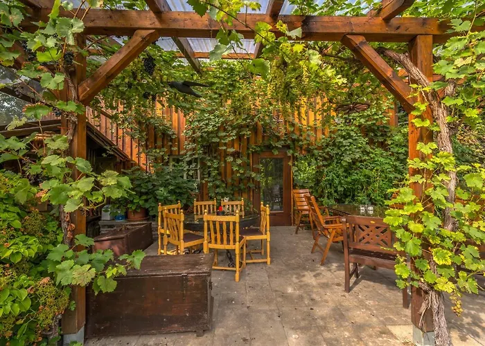 Auf Der Olk Mit Roepertsmuehle