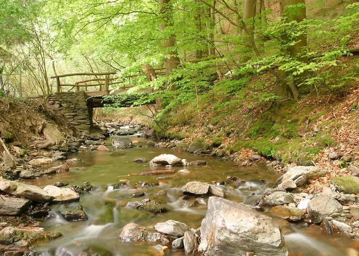 Auf Der Olk Mit Roepertsmuehle בית הארחה Veldenz