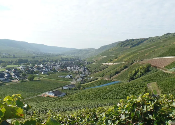 Auf Der Olk Mit Roepertsmuehle בית הארחה Veldenz