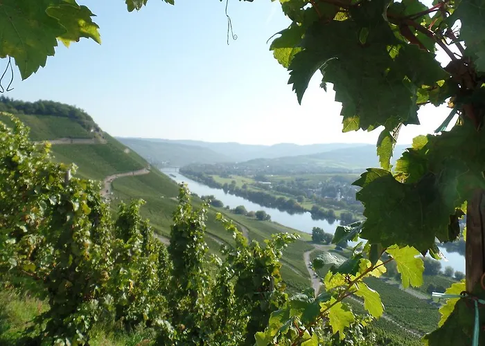 Auf Der Olk Mit Roepertsmuehle בית הארחה Veldenz